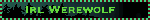 159329.gif