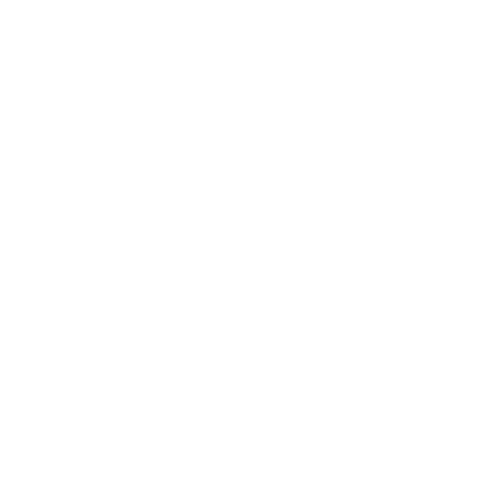 IMG 2535.png