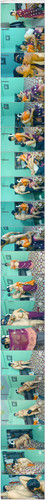 [Lustmaza.net] Village Chuby Babhi Fuking Uncut 1080p WEB DL [Lustwap.com].mp4 thumbs.jpg