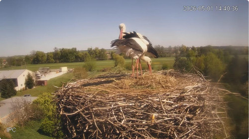 MWSnap754.jpg