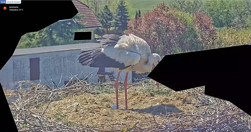MWSnap922.jpg
