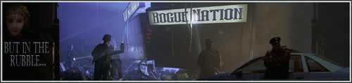Rubble Banner.jpg