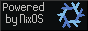 A button as a link to nixos.org and showing the logo of NixOS