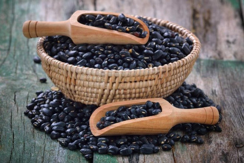 phaseolus vulgaris black beans 780x520.jpg