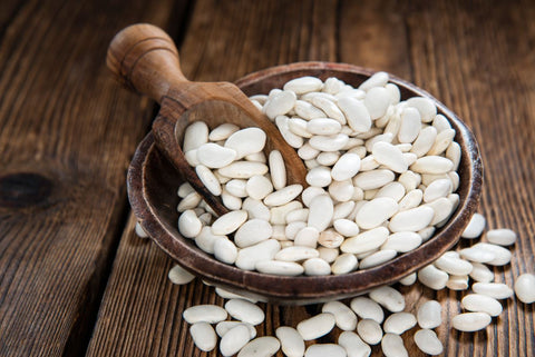 whitekidneybean large.jpg