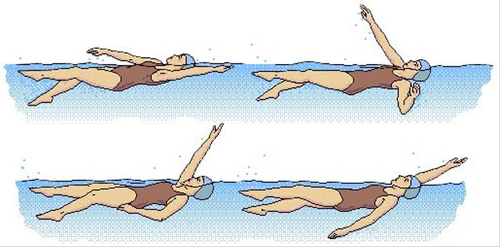 GAYA PUNGGUNG.png