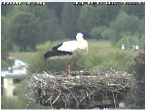 MWSnap259.jpg