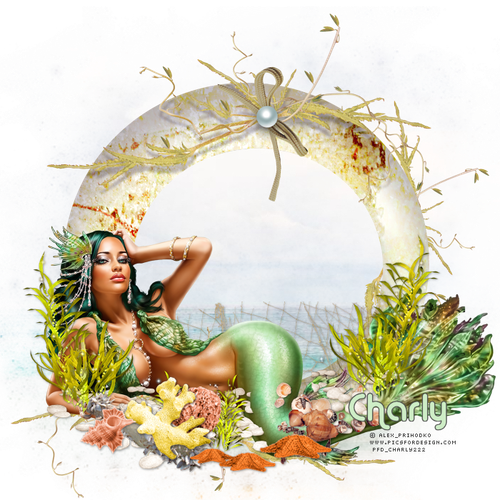 mermaid1.png