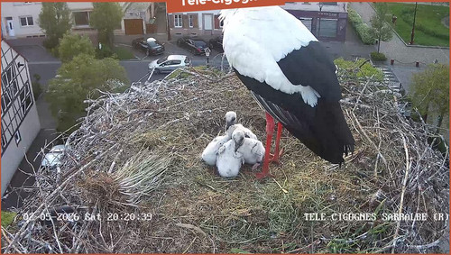 MWSnap083.jpg