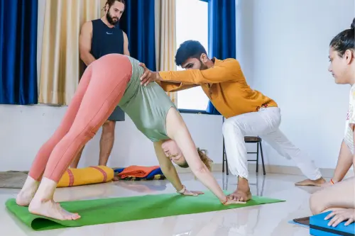 200 hour yoga teacher training rishikesh in sages yoga