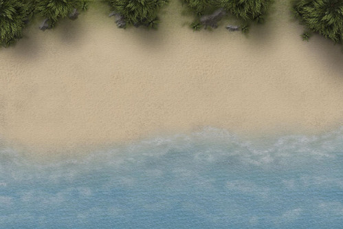 Beach 72dpi VTT.jpg