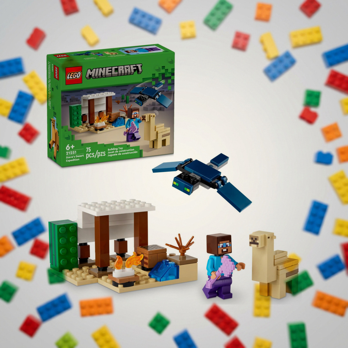 LEGO 21251 Экспедиция Стива в пустыню