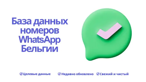База данных номеров WhatsApp Бельгии.webp