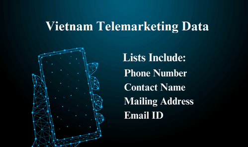 Vietnam Telemarketing Data 1.png