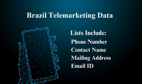 Brazil Telemarketing Data.png