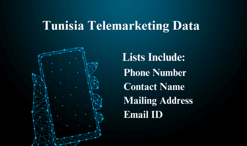 Tunisia Telemarketing Data.png