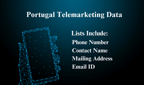 Portugal Telemarketing Data.png