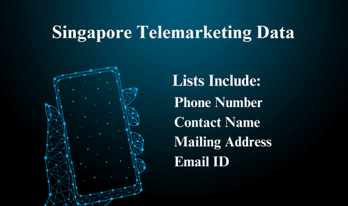 Singapore Telemarketing Data.png