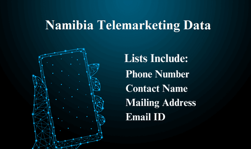 Namibia Telemarketing Data.png