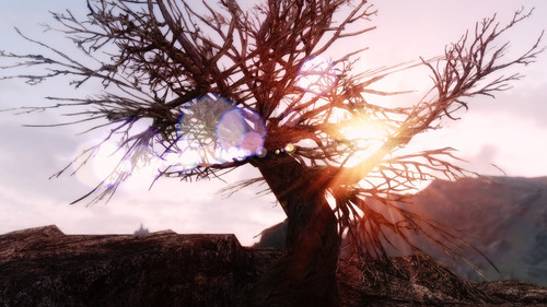 skyrim landscape 15320665990 o