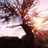 skyrim landscape 15320665990 o