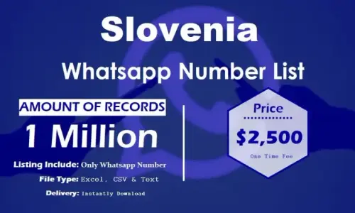 Slovenia Whatsapp Number List 768x461.webp