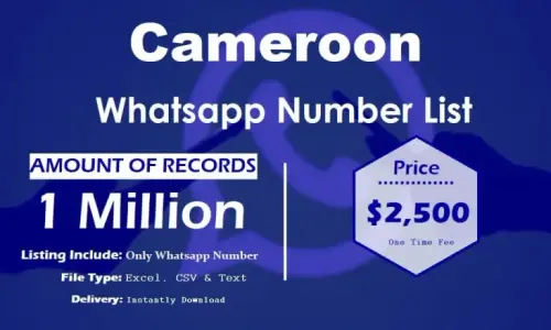 Cameroon Whatsapp Number List 768x461.webp