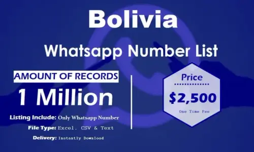 Bolivia Whatsapp Number List 768x461.webp