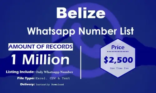 Belize Whatsapp Number List 768x461.webp