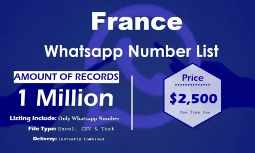 France Whatsapp Number List 768x461.webp