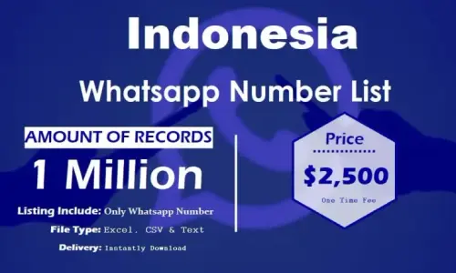 Indonesia Whatsapp Number List 768x461.webp