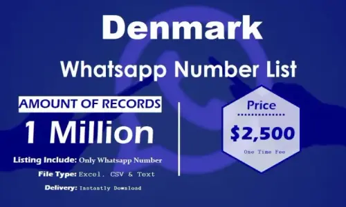 Denmark Whatsapp Number List 768x461.webp