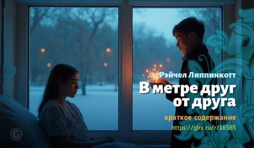 Читать краткий пересказ книги Рэйчел Липпинкотт «В метре друг от друга». В метре друг от друга, Липп.jpg