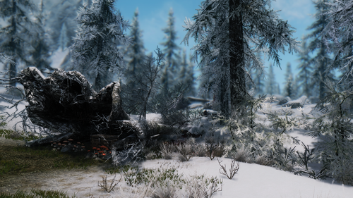 skyrim national geographic 33951108863 o