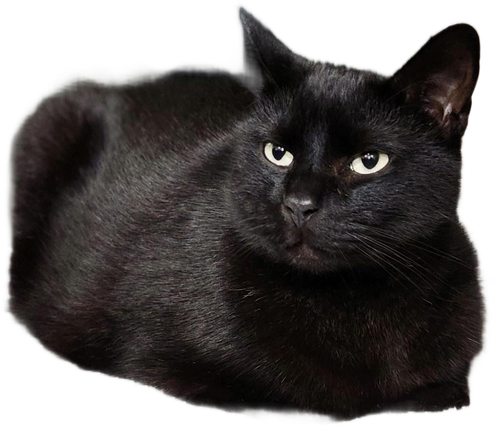 1000058355.png