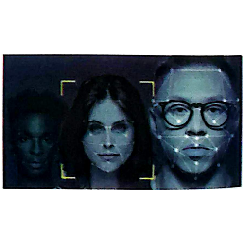 Face AI 2.png