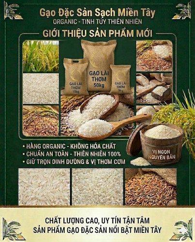 Gao lai thom.jpg
