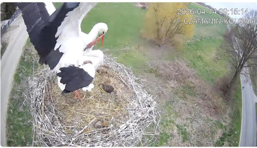 MWSnap473.jpg