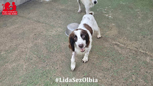 HFz uN6asAMRfmC?format=jpg.jpg