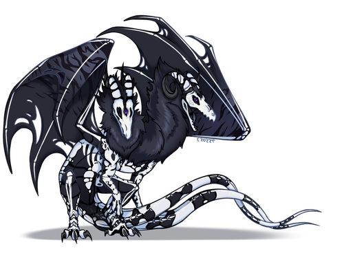 IMG 1669.png