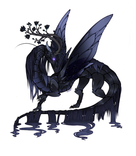 IMG 1628.png