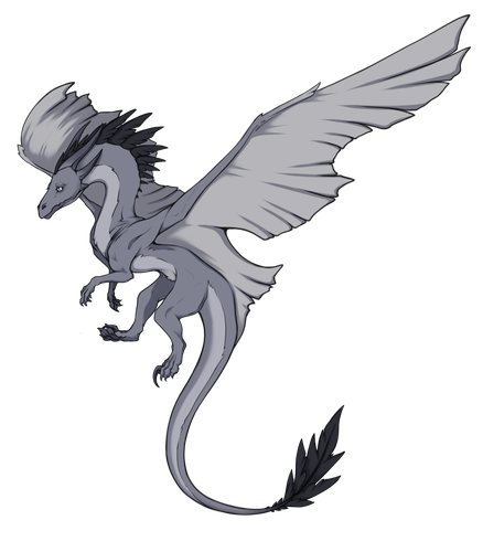 IMG 1753.png
