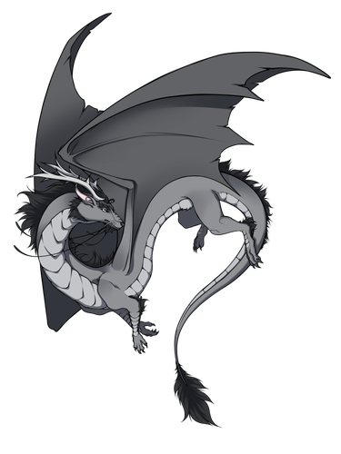 IMG 1755.png