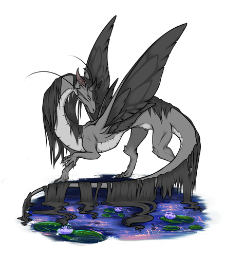 IMG 1758.png