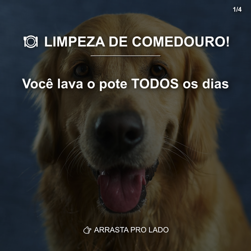 carousel 1776114002176 slide1.png