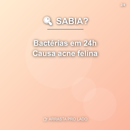 carousel 1776114002584 slide2.png