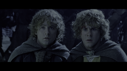 vlcsnap 2026 04 13 23h54m54s974.png