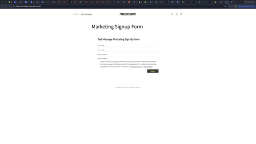optin form screenshot.png