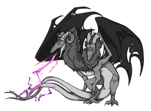 IMG 1779.png