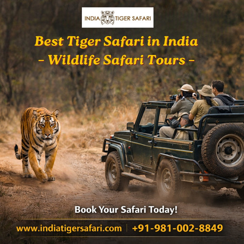 best tiger safari in india.jpg
